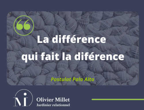 A la recherche de la différence qui fait la différence…