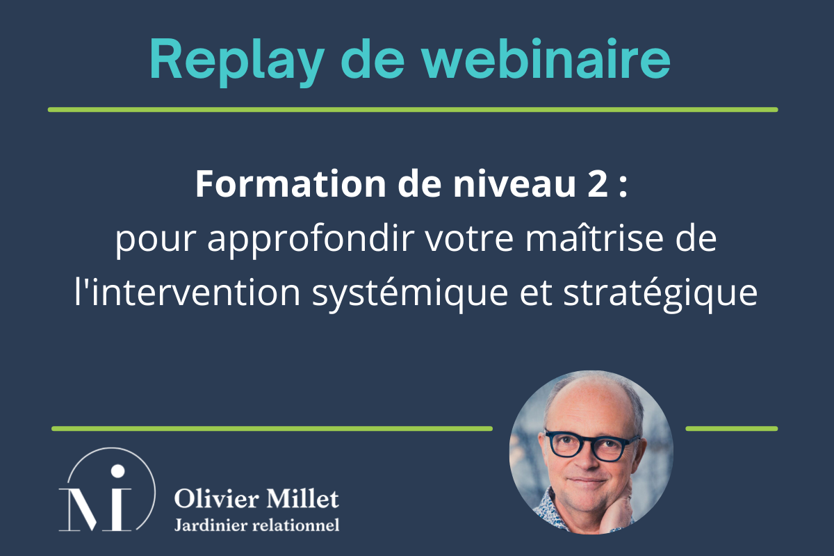 olivier millet formation systémique