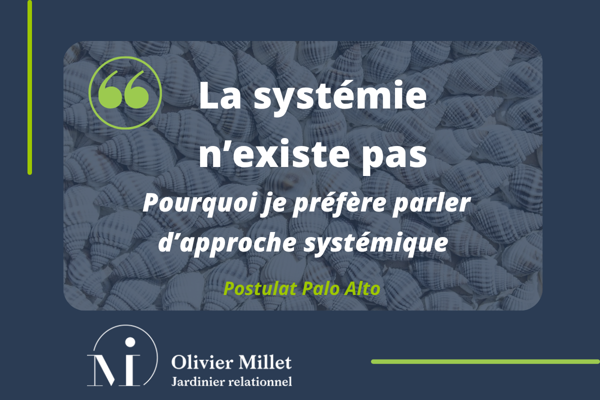 « La systémie n’existe pas » – Pourquoi je préfère parler d’approche systémique