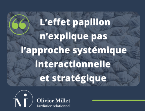 L’effet papillon n’explique pas l’approche systémique interactionnelle et stratégique